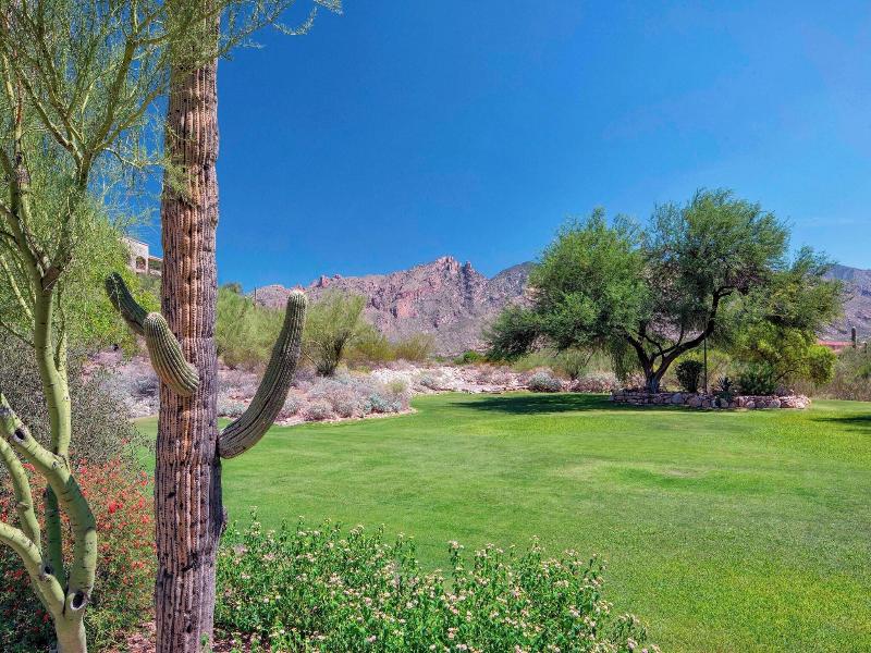 The Westin La Paloma image