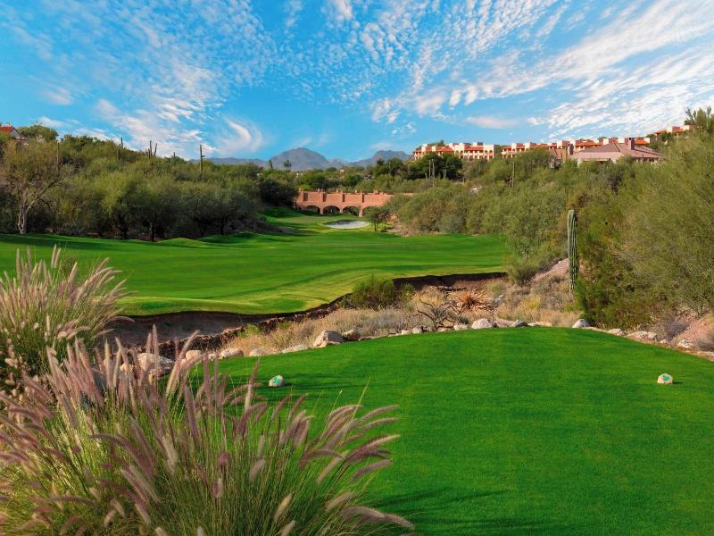The Westin La Paloma image