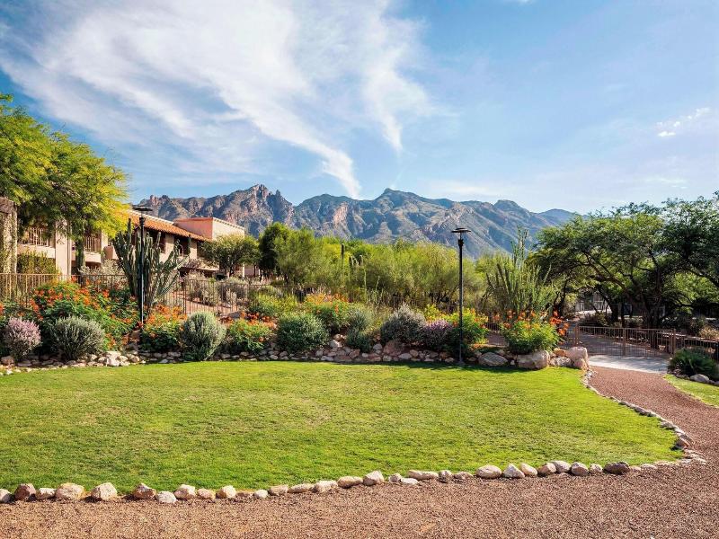 The Westin La Paloma image