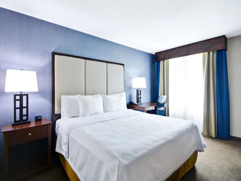 Homewood Suites By Hilton Dallas - Lewisville image