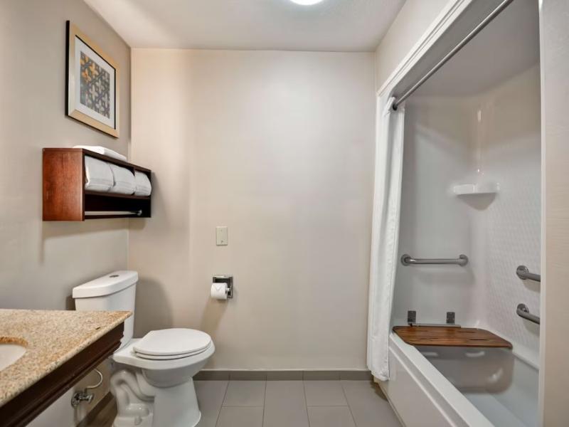 Homewood Suites By Hilton Dallas - Lewisville image