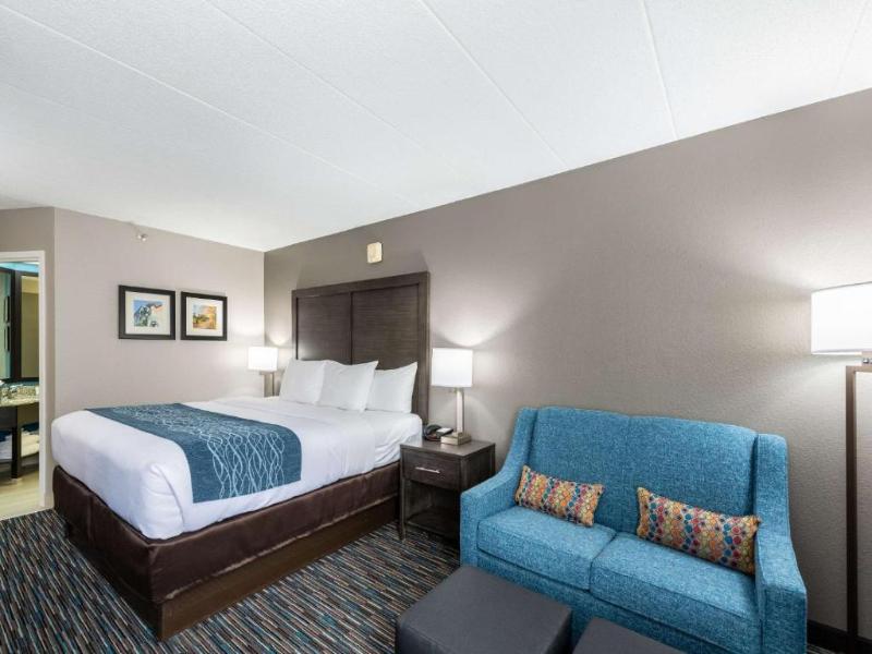 Comfort Inn Chicago Schaumburg - O'Hare Airport image