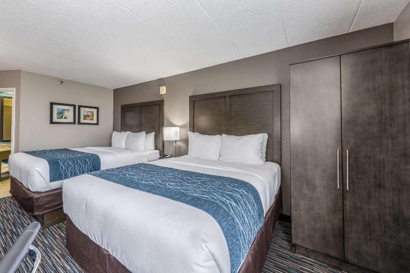 Comfort Inn Chicago Schaumburg - O'Hare Airport - Image 4
