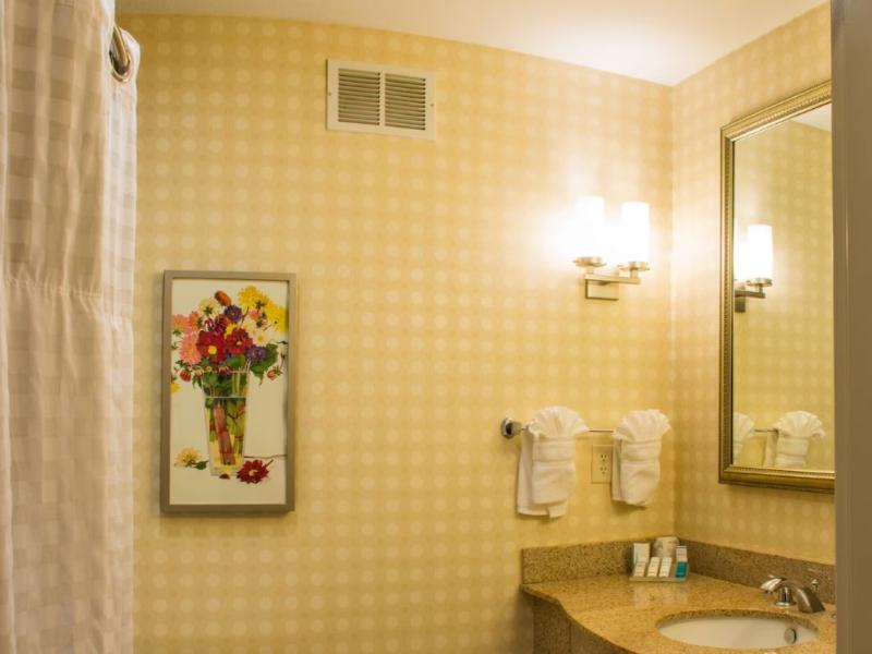 Hilton Garden Inn Elkhart image