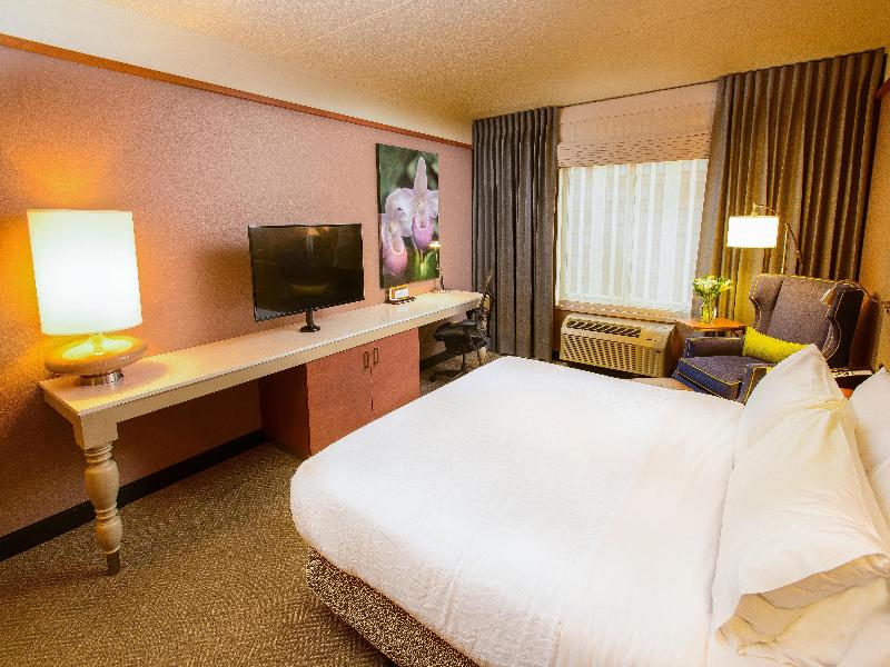 Hilton Garden Inn Rochester Downtown  image