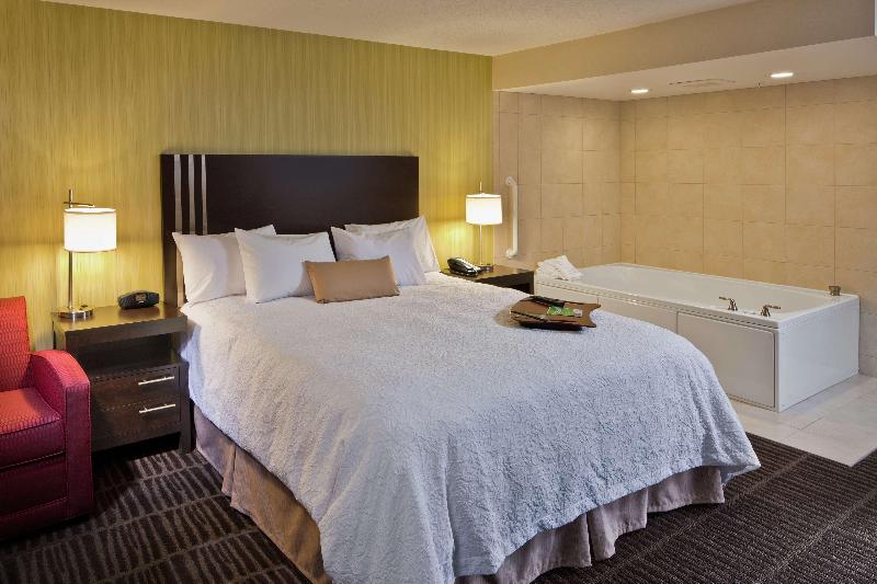 Hotel Hampton Inn & Suites Saginaw