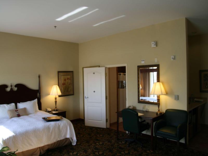 Hampton Inn & Suites Del Rio image