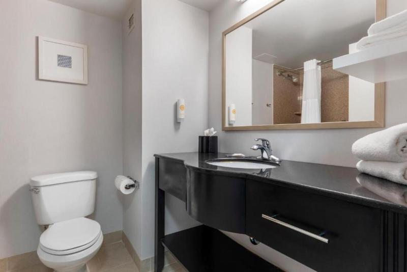 Comfort Inn Plano-Dallas image