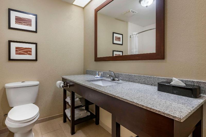 Comfort Inn & Suites Deland - Near University image