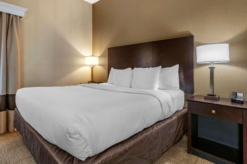 Comfort Inn & Suites Deland - Near University image