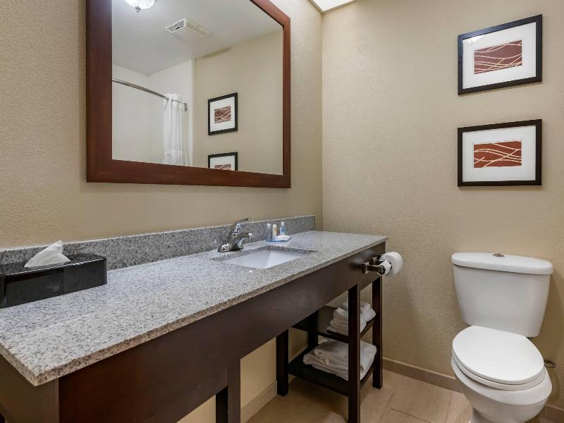 Comfort Inn & Suites Deland - Near University image
