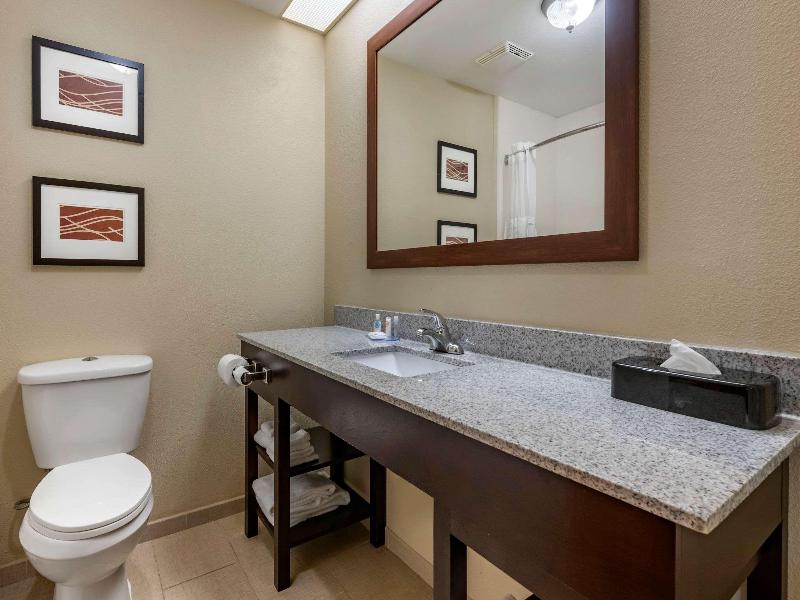 Comfort Inn & Suites Deland - Near University image