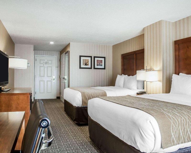 Comfort Inn & Suites Sturbridge-Brimfield image