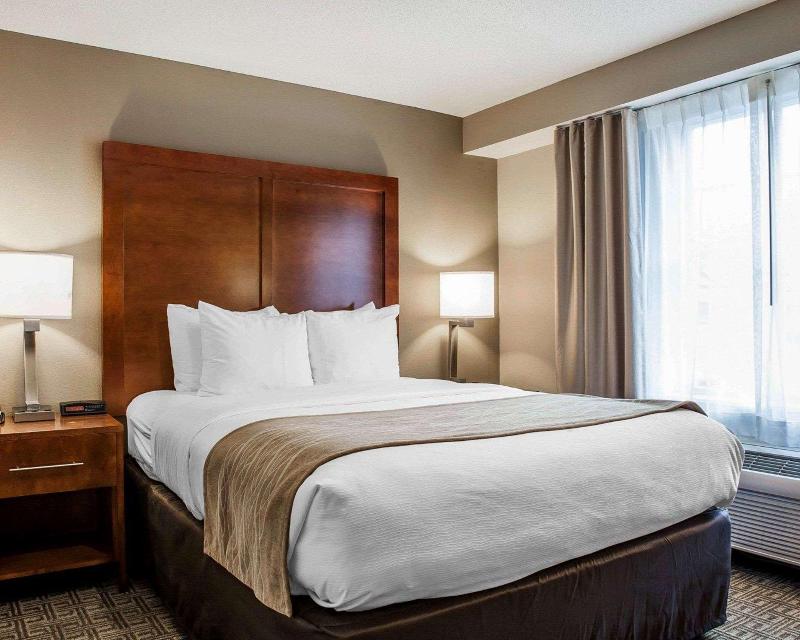 Comfort Inn & Suites Sturbridge-Brimfield image