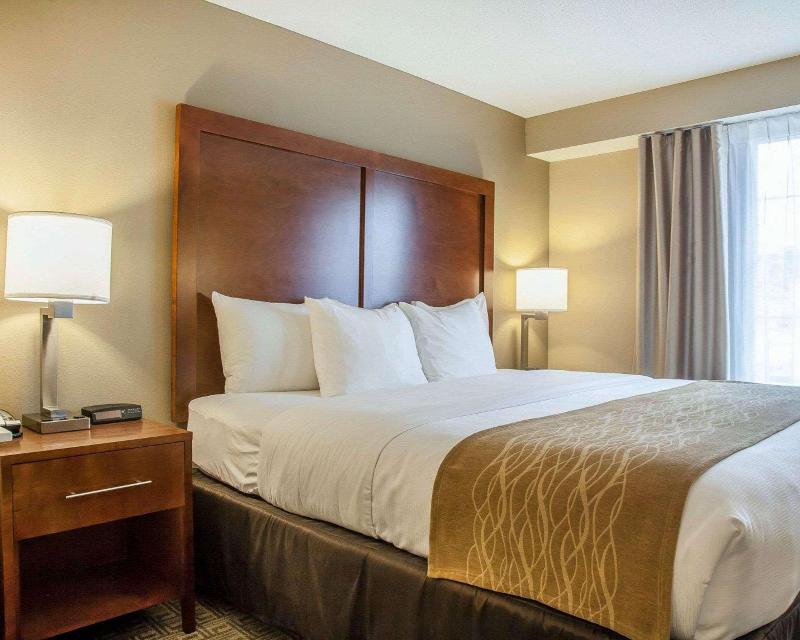 Comfort Inn & Suites Sturbridge-Brimfield image