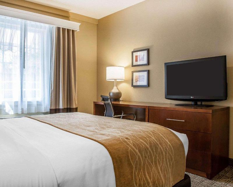 Comfort Inn & Suites Sturbridge-Brimfield image