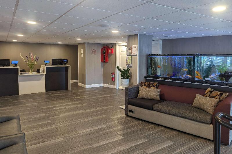 Quality Inn & Suites Northampton- Amherst image