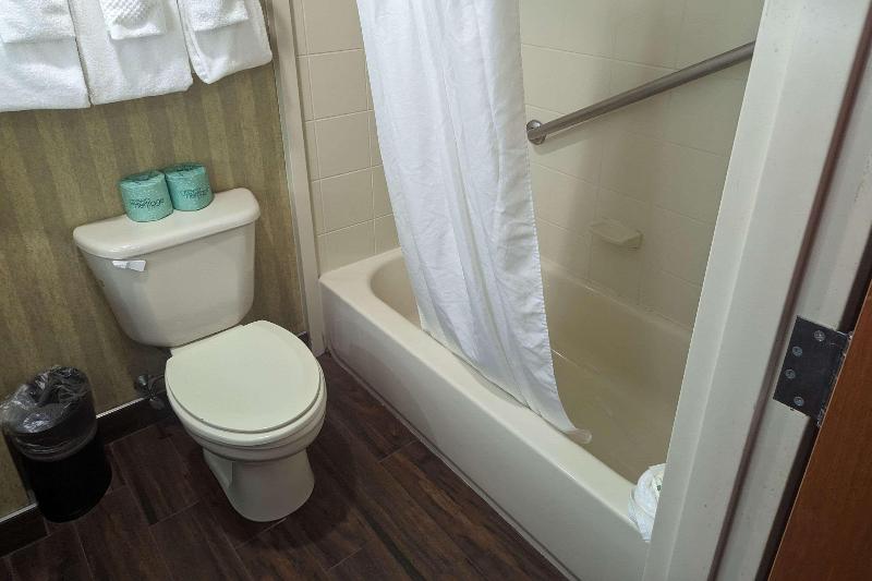 Quality Inn & Suites Northampton- Amherst image