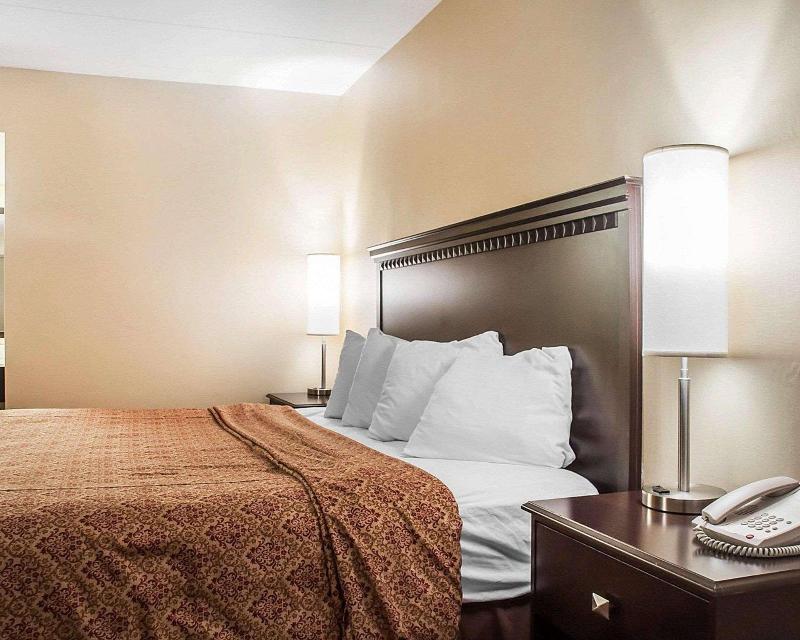 Econo Lodge Elmira-Corning image