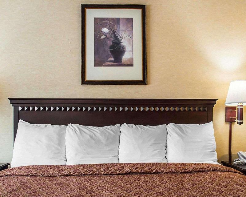 Econo Lodge Elmira-Corning image