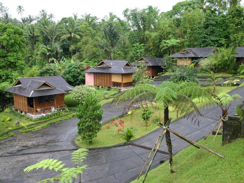 Highland Resort & Nature Tours — general view