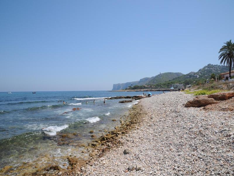 Bravosol — general view
