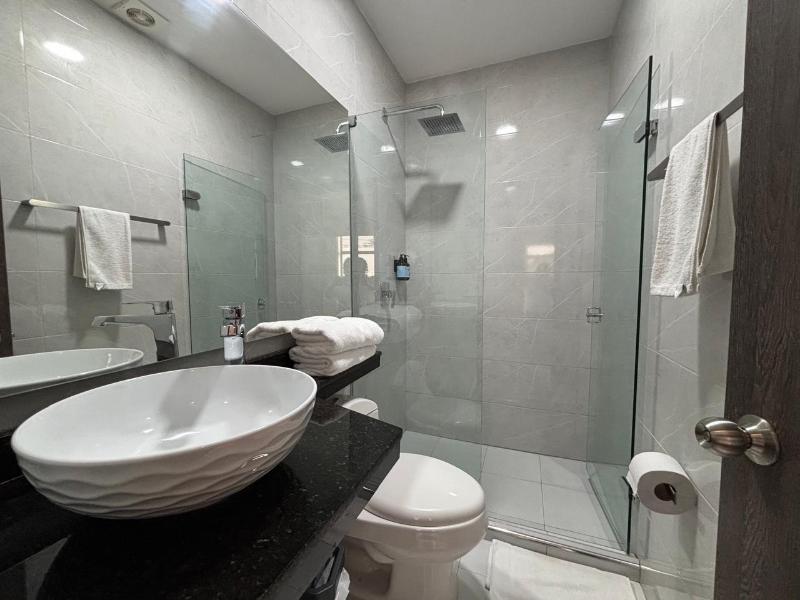 Hotel San Martin  image