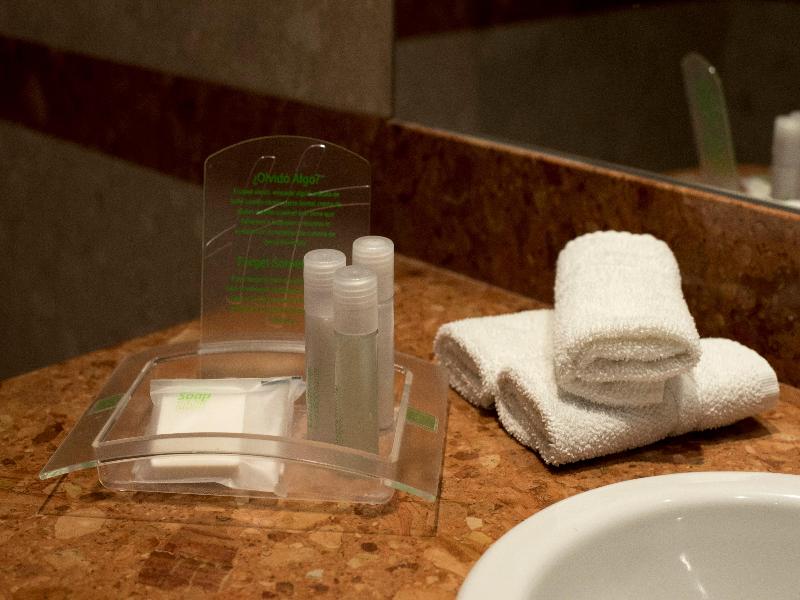 Holiday Inn Cordoba image