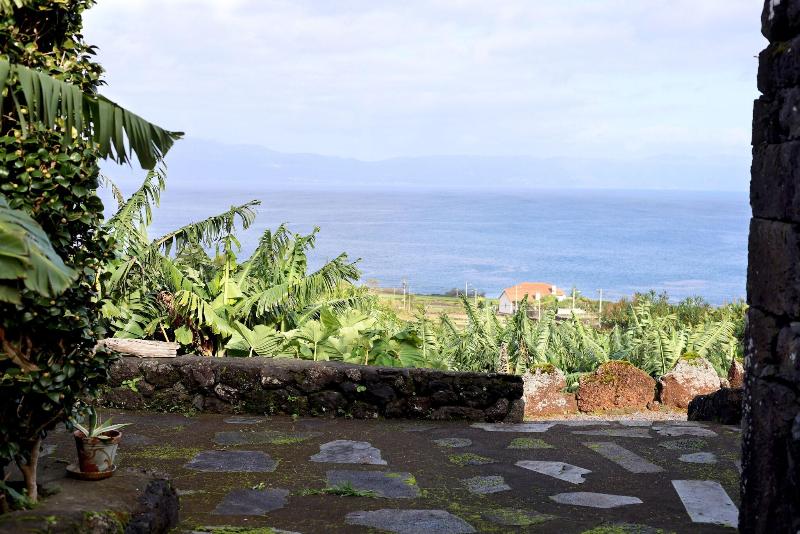 Adegas Do Pico image