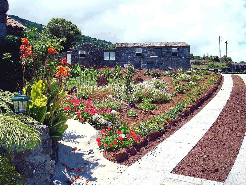 Adegas Do Pico image
