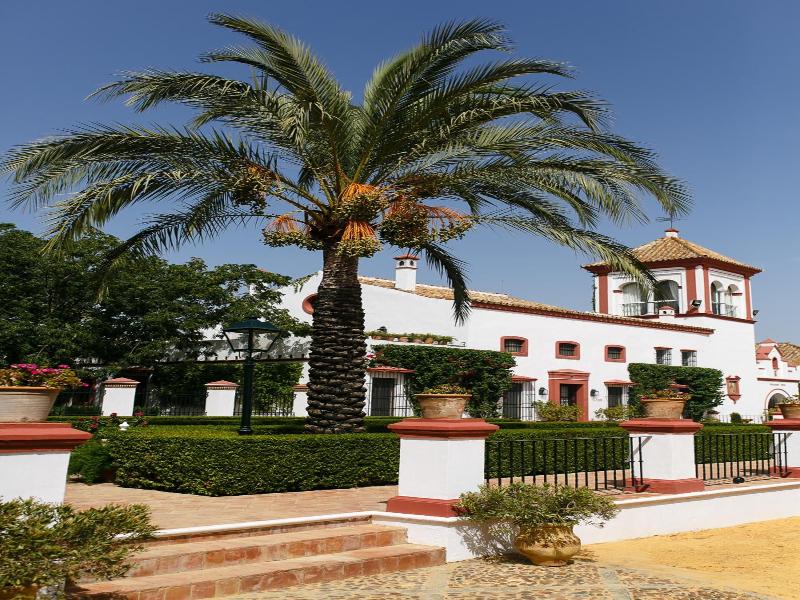 Hacienda de Oran image