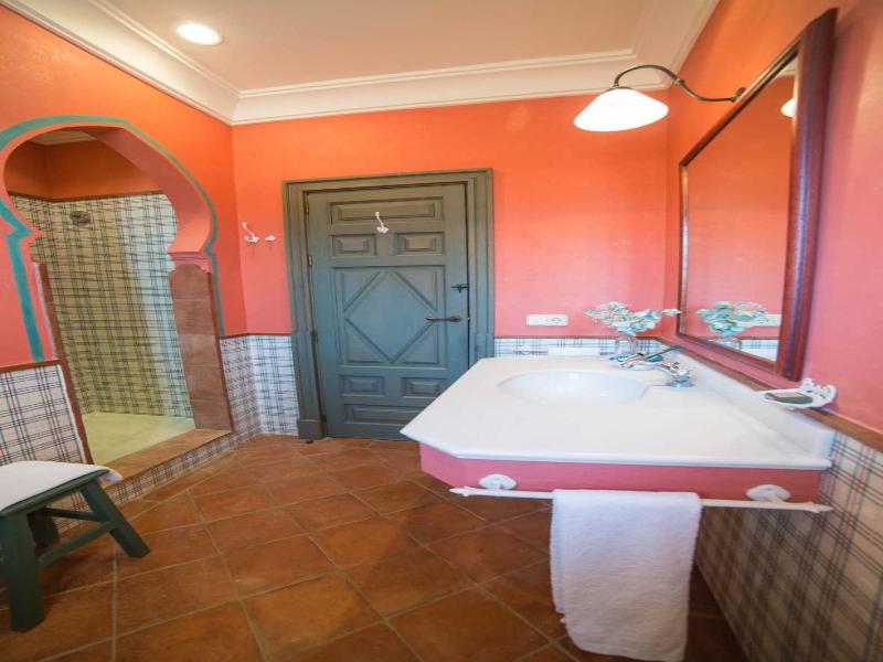 Hacienda de Oran image