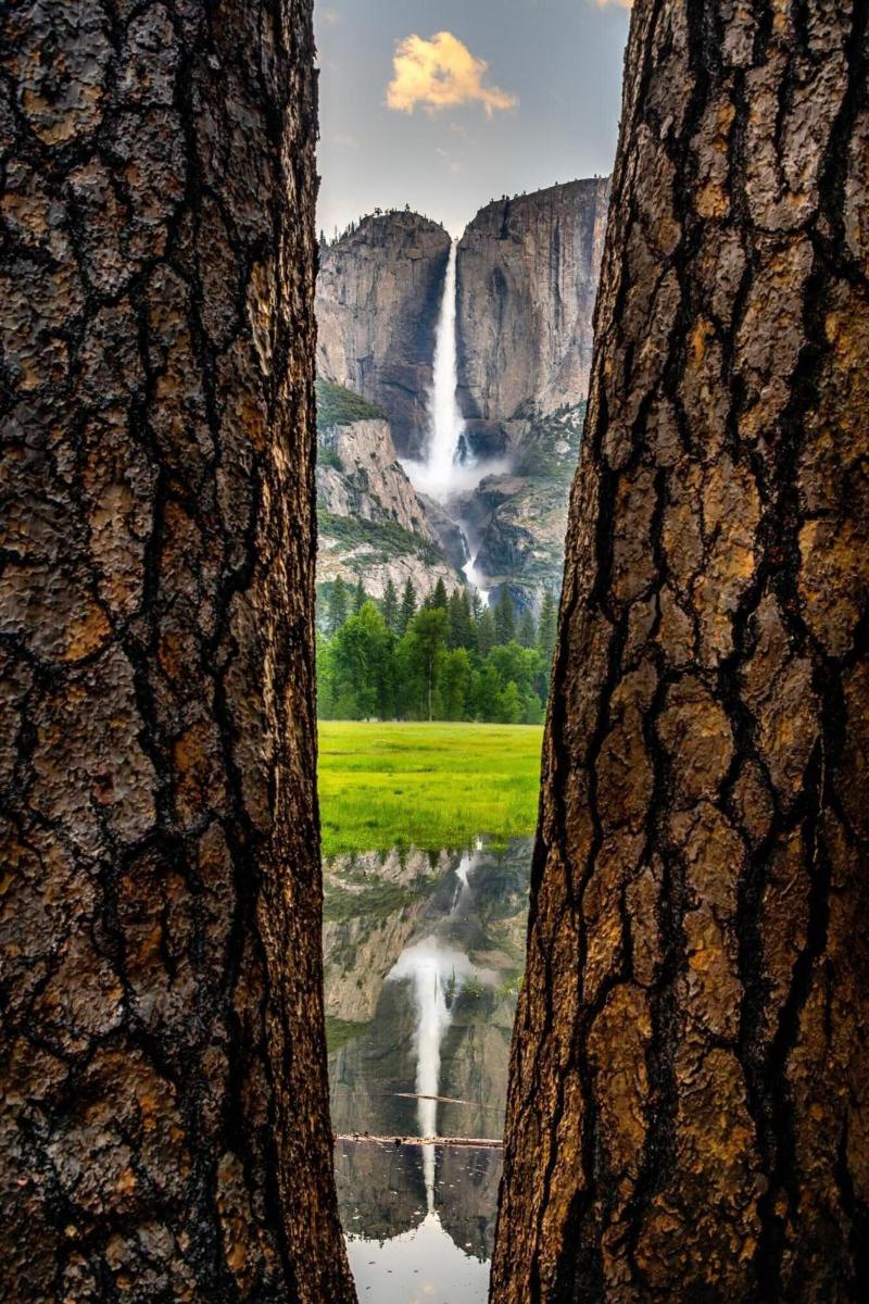Yosemite Valley Lodge image