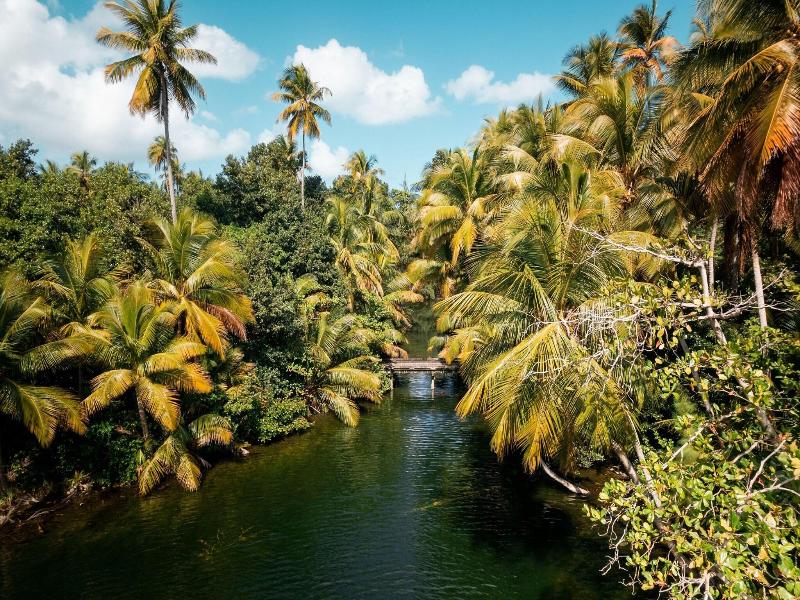 Four Seasons Resort and Residences Puerto Rico image