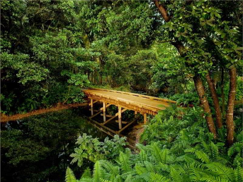 Four Seasons Resort and Residences Puerto Rico image