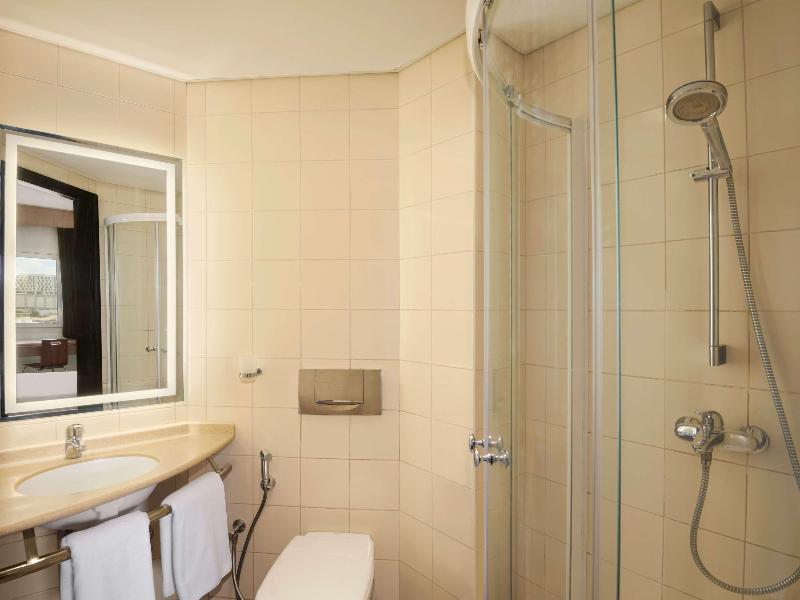 Ibis Muscat image
