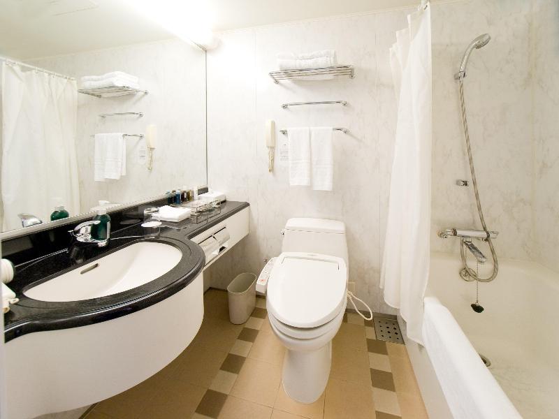 Ana Crowne Plaza Toyama image
