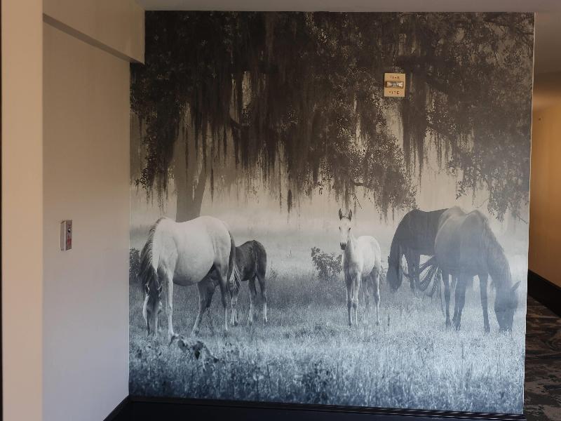 La Quinta Inn & Suites Ocala image