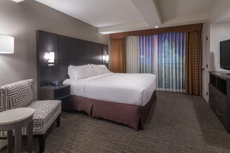 Holiday Inn and Suites Airport