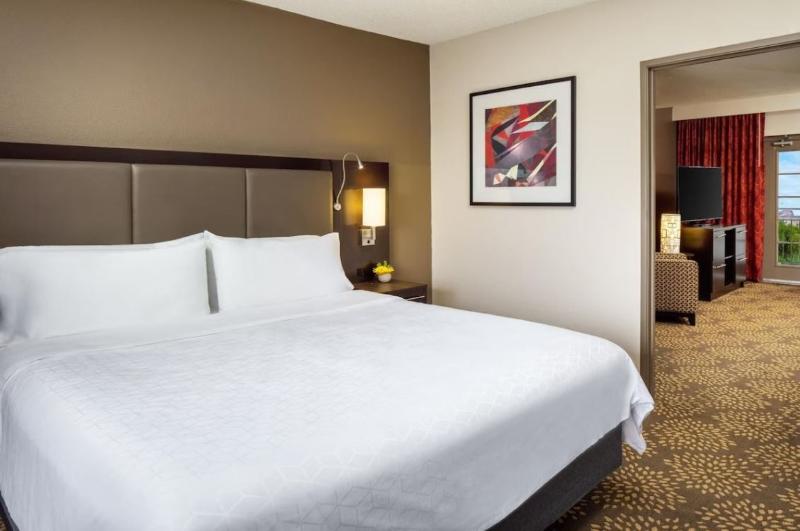 Holiday Inn and Suites Airport