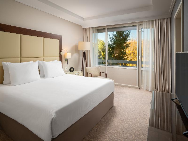 Crowne Plaza Bucharest image