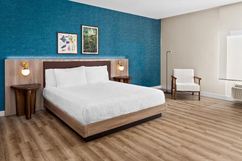 Hilton Garden Inn Guanacaste Airport image