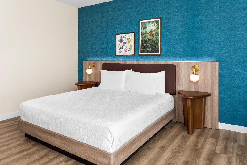 Hilton Garden Inn Guanacaste Airport image