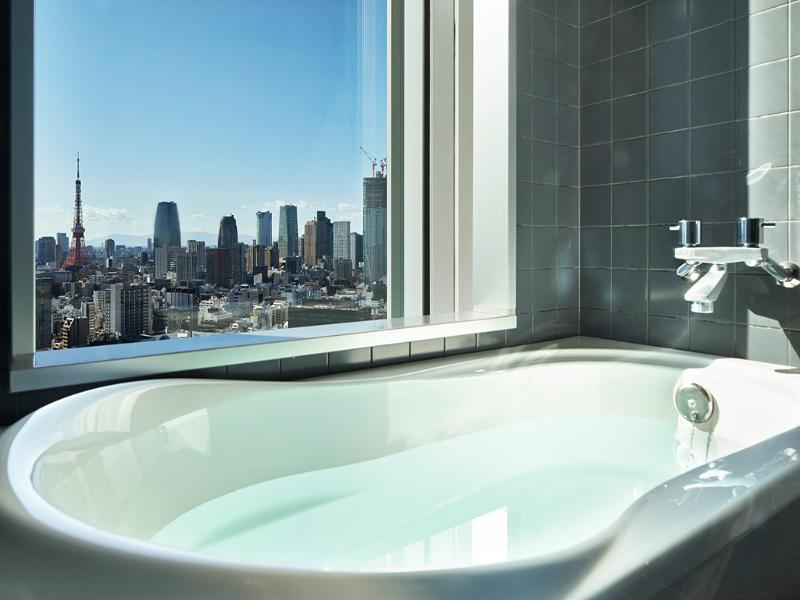 Mitsui Garden Hotel Ginza Premier image