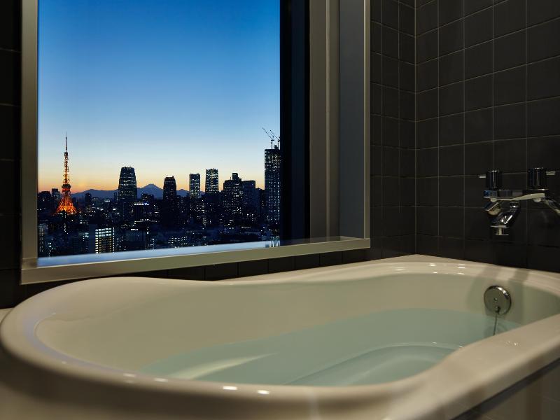 Mitsui Garden Hotel Ginza Premier image