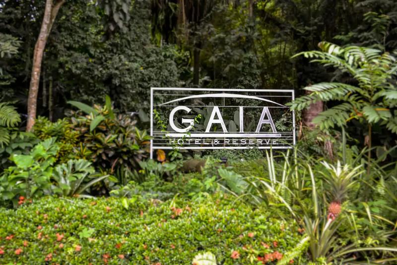 Gaia Hotel AND Reserve