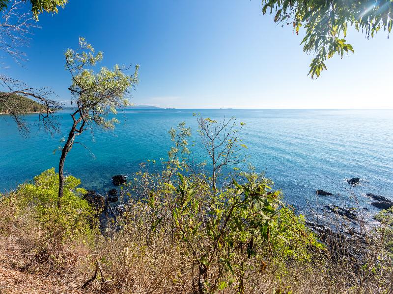 Thala Beach Nature Reserve image