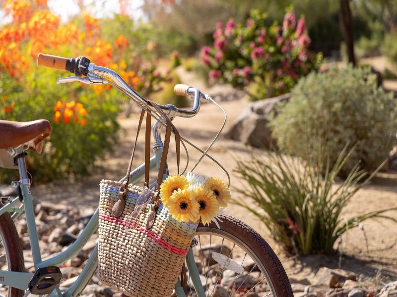 Westin Desert Willow Villas image