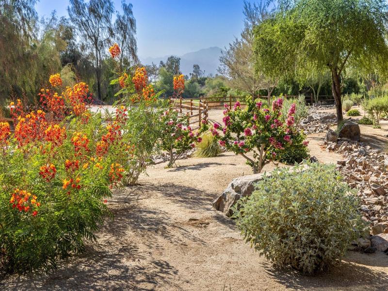 Westin Desert Willow Villas image