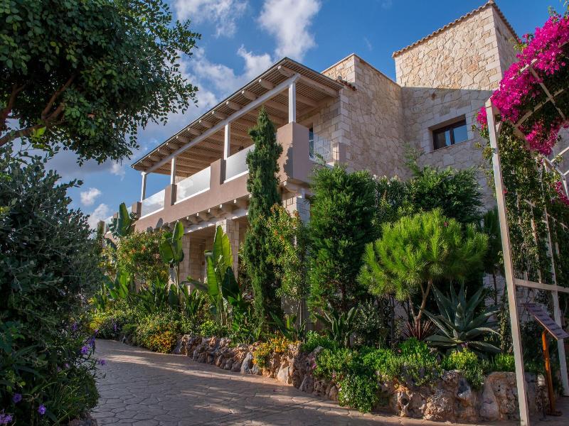 Cactus Royal image